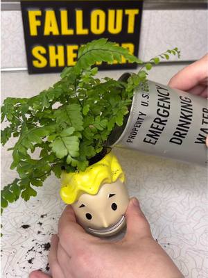 A post by @mrs.fallout on TikTok caption: Planting in the Vault Boy Head Planter #fallout #mrsfallout #fallouttok 