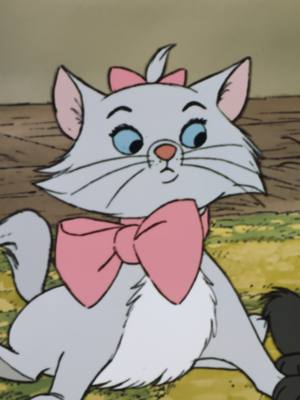 A post by @disney on TikTok caption: Comment 🎀 if you can't get enough of Marie's purr-sonality. Stream The Aristocats on @disneyplus.
