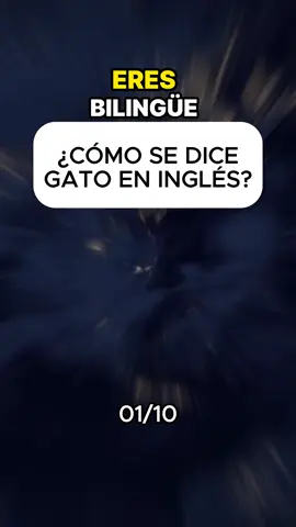 A post by @aprenderingles2025m on TikTok caption: Desafio de inglés. #aprenderingles #aprendeingles #quiz #preguntasyrespuestas #ingles