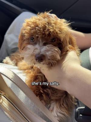 A post by @.isaescu on TikTok