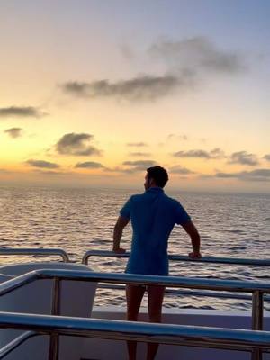 A post by @memosalinas7 on TikTok