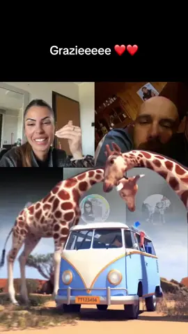 A post by @sugar2290 on TikTok caption: #Perte#foryou#viral#andiamoneiperte#