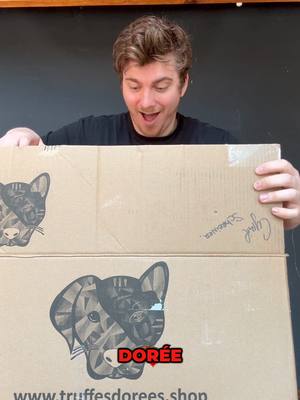 A post by @cyrilschr on TikTok caption: Chadore les croquettes @Truffes Dorées ! Et en plus avec code de parrainage « ALBERTINE » vous avez -20% sur votre commande ! #truffesdorees #collaborationcommercial