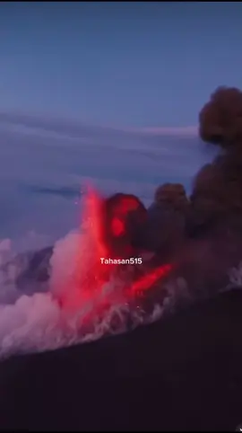 A post by @tahasan515 on TikTok
