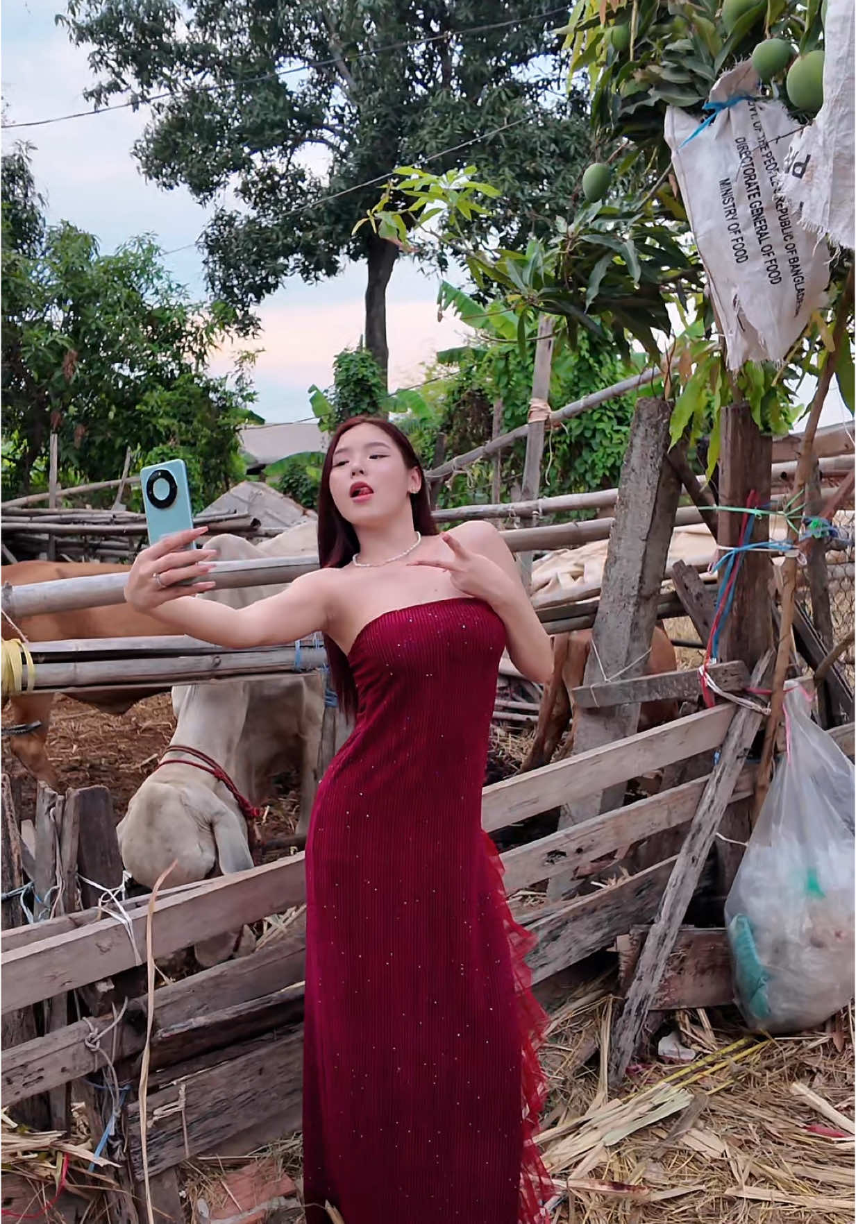 A post by @jmong19 on TikTok caption: ทองจะไม่ทน!😂#jmong   #HONOR #HONORLaos #HONORX9cSmart5G #ແຂງແກຣ່ງທົນທານທ້າທາຍທຸກສະຖານະການ