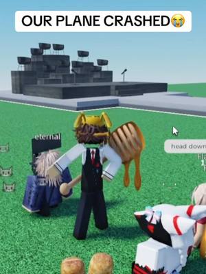 A post by @its_cxldkid on TikTok caption: Thank you for flying #robloxfyp #micup #micuproblox #robloxvc 