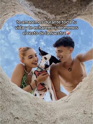 A post by @celiareinah on TikTok caption: Daría todo por ella