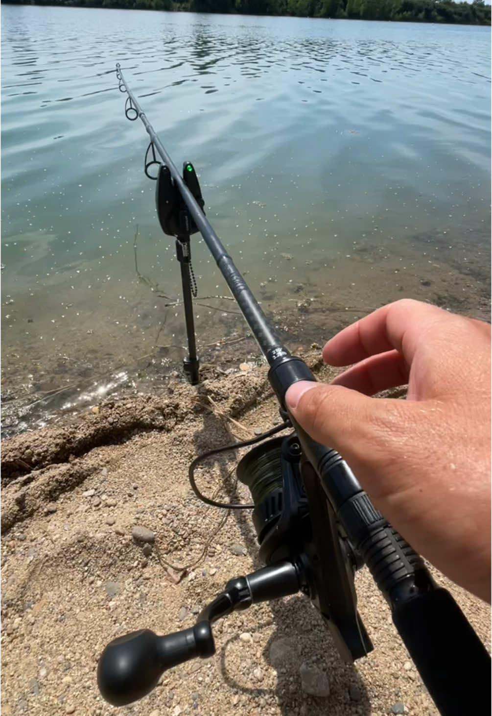 A post by @julien_josselin_scale on TikTok caption: 🚨Encore un poisson bien énervé! 🚨  #carpfishinglife #carpfish #fishing #carpe #peche #poisson #fish #angler #pecheur #pechecarpe #carprun #karp #lake #bigfish #lakefishing #summer #naturevibes #nature #france #foryou