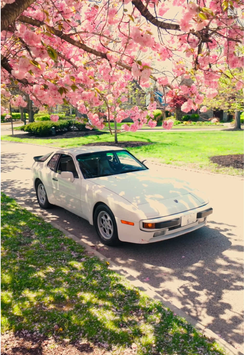 A post by @porsche on TikTok caption: Living for that spring feeling. 🌸 📼 @Carter Horsley 