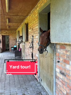 A post by @mollyandthegreys on TikTok caption: What do you think?😍 I only showed my own stables and the facilities that I’ll personally be using, out of respect for the other liveries, so this is as in depth as the tour will go🥰🫶🏼  #horses #equine #horse #equestrian #horseriding #horsetok #horsegirl #horsesoftiktok #equestrianvibes #equestriantiktok #fyp #foryou #abcxyz 
