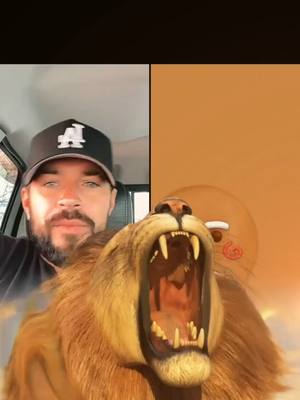 A post by @wilderluke_teamwild on TikTok caption: team wild is back merci pour tout... cest juste wow tout ce love très appreciez#challenge #battle #tiktok#wilder 