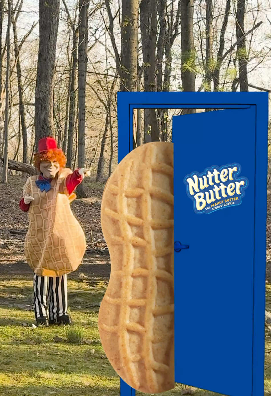 A post by @officialnutterbutter on TikTok caption: HERE// t i m