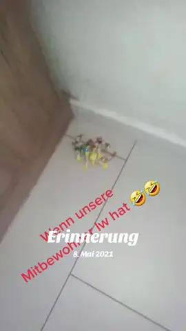 A post by @teufelsengel96 on TikTok caption: #erinnerung