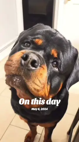 A post by @actionjackson2019 on TikTok caption: #onthisday