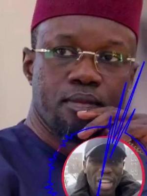 A post by @saang_bi on TikTok caption: #KALIPHONE #sangbi #mouhamed #StopHarcèlementEnLigne #JusticePourLesVictimes #NonÀLaViolenceNumérique #RespectEtDignité #CybercriminelÀPunir #OFIIFrance #SousPrefectureSaintGermain #SignalementHarcèlement #GendarmerieNationale #StopViolenceNumérique #sonko #aminapoté #malicknar #rox #mackysall