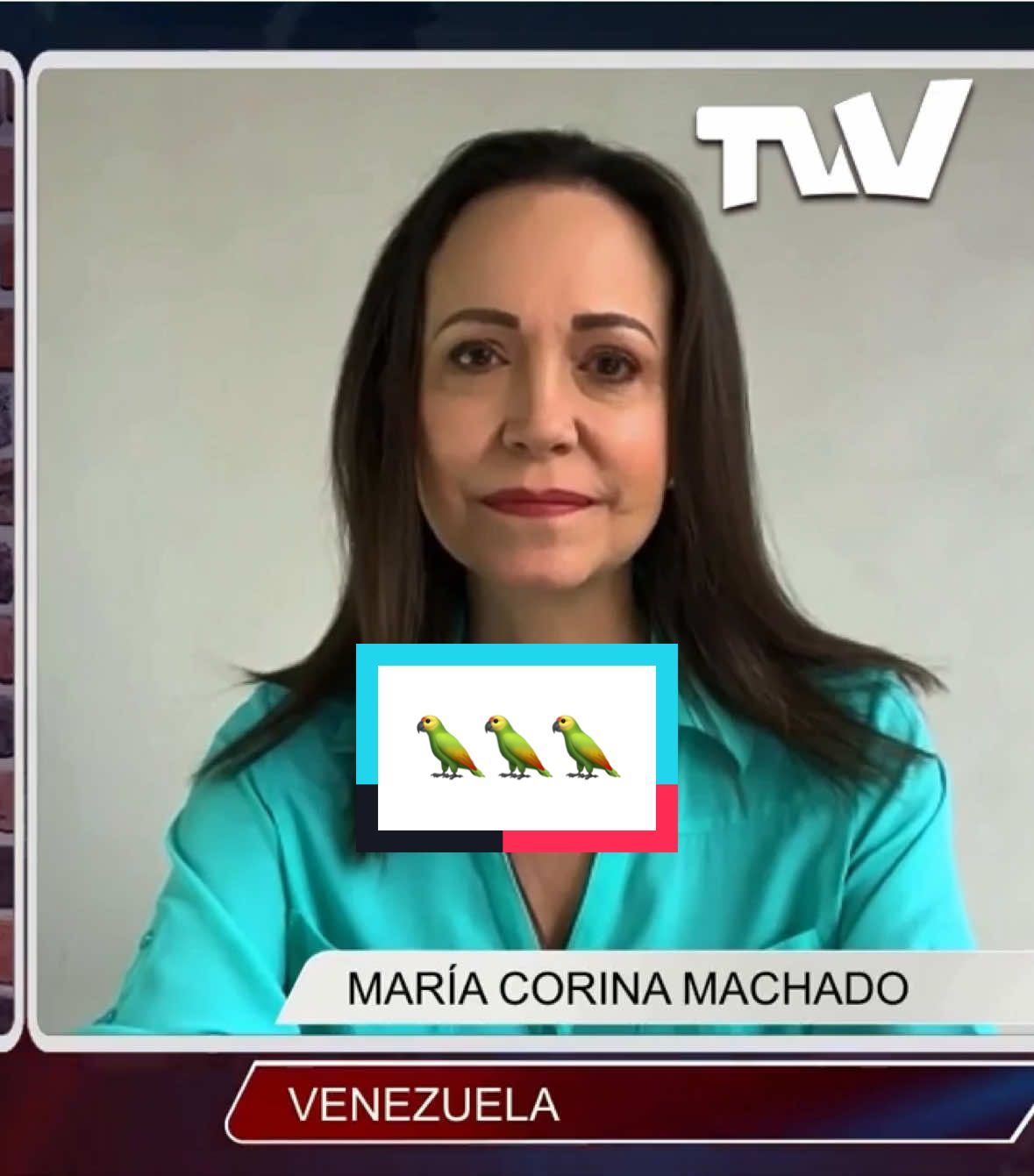 A post by @mariacorinaya_ on TikTok caption: Operación Guacamaya. 🦜 