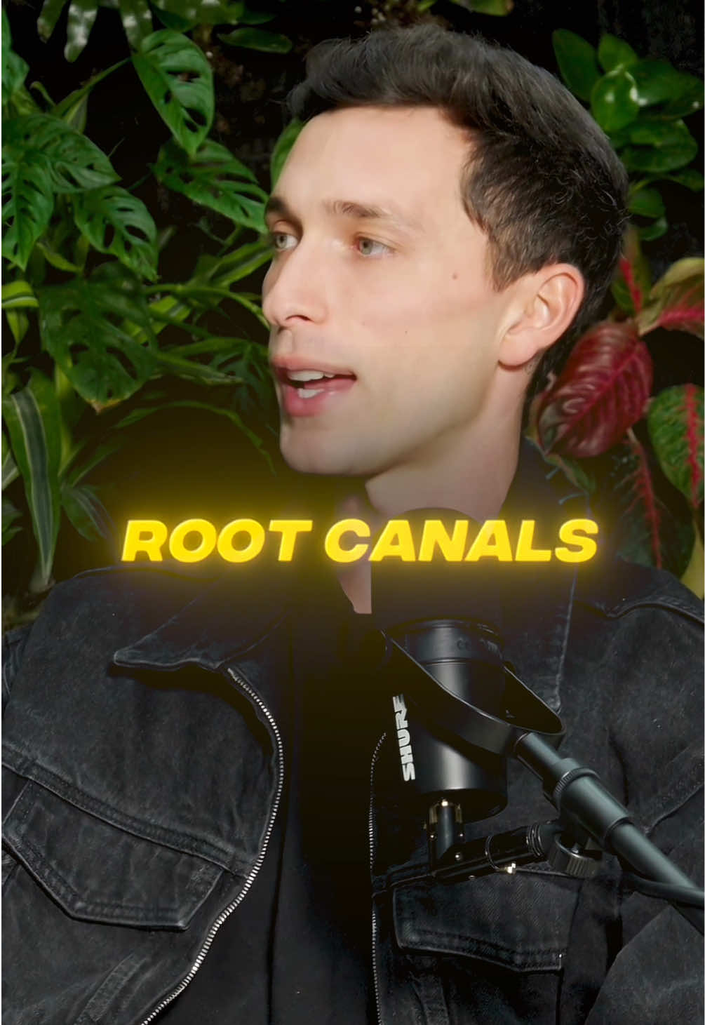 A post by @fyp on TikTok caption: Why You Should Remove All Root Canals #jackneel #podcast 