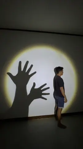 A post by @boomshadowace on TikTok caption: It's so fun to make! It's giving Modern Art Vibes. 🎨🎭🖼️ #shadowace #fyp #viral 