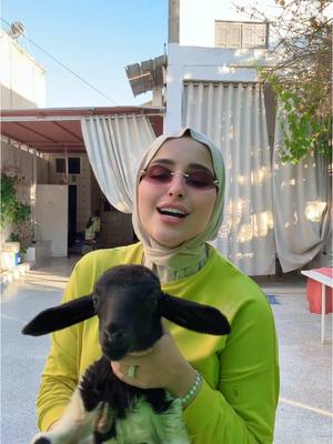 A post by @douhalaribiii on TikTok caption: شوفوا مين معي 😂✅#اكسبلورexplore ⚡️🐏
