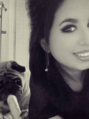 A post by @brelandemory on TikTok caption: #CapCut #pug #pugs #fyp #foryoupage 