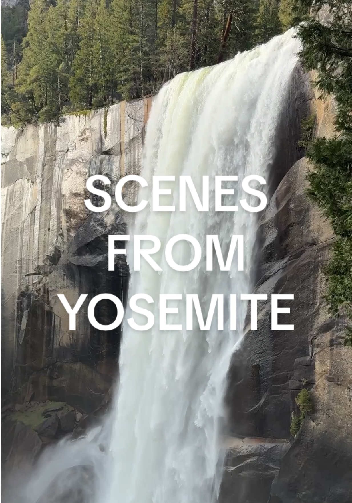 A post by @taylorodlozil on TikTok caption: Scenes from Yosemite! #yosemite #outdoors #views #nature #memories 