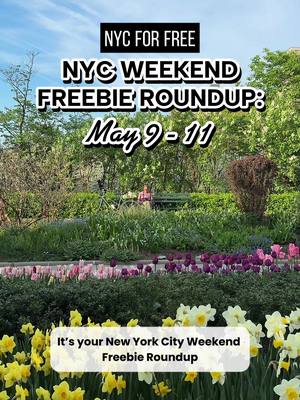 A post by @nycforfree on TikTok caption: NYC WEEKEND FREEBIE ROUNDUP MAY 9 - 11 MULTI MHTN 🥥 Nostalgia Mall by @Vita Coco Fri-Sat 12-6p (31 E 17th St) 👄 @Fenty Beauty Gloss Bomb Shop Fri-Sun 11a-6p (131 Greene St) 🍟  @McDonald’s The Sauce Drawer Tour Fri-Sat 11a-7p (262 Mott St) ✨  @Miu Miu Tales & Tellers 11a-7p Sat-Sun (261 11th Ave) 🌳 The Forest Within at @GenesisHouseNYC 11a-7p Fri-Sun (40A 10th Ave) 🎥  @Peacock Charlie Cale’s Back on Her BLSHT Rest Stop Fri 2-8p, Sat 12-8p (51-63 8th Ave) 🌎 @Foratravel Pop-Up (433 W Broadway) 🌸 @Macys Flower Show w/ YSL Beauty & LEGO 🛒. @DrJart Korean Skin Mart Fri-Sat 11a-6:30p (Sephora Meatpacking) ☕️ @blankstreet Picnic Stand 11a-4p Sat-Sun (Gansevoort Plz) 💐 @rockefellercenter Spring is Blooming w/ @VanCleefArpels 🌷 Park Avenue Tulip Digging Sat-Sun BK 💙 @bondiboost x @twohandsrestaurant first 100 free drink/merch 8a Sat-Sun (262 Kent Ave) MLTI 💇🏾‍♀️  @wavytalkofficial Styling Van 11a-5p Fri: 864 Broadway, Sat: 164 Bedford,BK  🥖 @aesop stores: free loaves of bread and pastries 11a-6p (Fri-Sun) FRI MHTN 🍵 @JulepBeauty Matcha Cafe first 50 free 9a-12p (62 Bedford St) 🖼️ Free Museum Fridays: @themuseumofmodernart @whitneymuseum @morganlibrary @posterhousenyc NJ 🧴 @notbeauty Pop-Up by @sza 1-8p (@americandream) SAT MHTN 💐 @thayers Mother’s Day Flower Truck 10a (575 Broadway) 🥤 @fevertree_usa Mercadito 3-8p (389 West St) 🍪@Thin Cookies NYC Grand Opening 12p (166 Bleecker St) 🌺 @pier57.nyc + @chelseamarketny Floral Scavenger Hunt 9a 💐 @sloomooinstitute free flowers + slime for Mothers 11a (475 Broadway) 🎹 @shakerattlerollpianos Dueling Pianos 10p (DM them for tix) BK 💐 @citypointbklyn Show Brooklyn Some Love Fest 11a-2p (445 Albee Square W) 🍦 @bakerybytextbook x @Oatly Ice Cream Social 12-3p (874 Hancock St) HBK 🧴 @CaliforniaNaturals x @hellofromthehive Pop-Up free chai, samples 8a-4p (1000 Park Ave) SUN 🍴 @tswirlcrepe free sweet crepe on Mother’s Day MHTN 🌺 Mothers of @Max Flower Pop-Up 10a-4p (Chelsea Triangle 💐 @guerlain x @airmailweekly free flowers & samples 10a (546 Hudson St) BK 🌮 @habanero_pibil_nyc + more Mother’s Day Celebration w/ free food 4-5p (282 Knickerbocker Ave) #nycforfree #nycweekend #nyc #newyorkcity #fentybeauty #vitacoco #mcdonalds #nycpopups