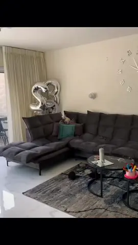 A post by @nikki_chihuahuaa on TikTok caption: why is niki hidding 😂 #pet #foryou #PetsOfTikTok #fypシ #chihuahua #dog 