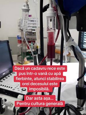 A post by @viktor.ivanovik on TikTok