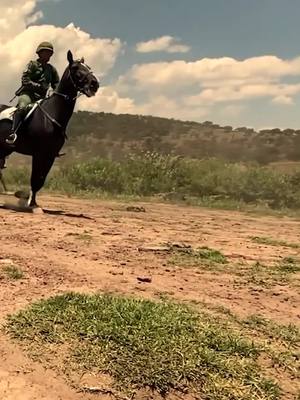 A post by @defensamx on TikTok caption: “Nacer, Vivir y Morir siempre de Caballería”.                                  En el #EjércitoMexicano, #FuerzaAéreaMx y #GuardiaNacional celebramos con orgullo el “Día del #ArmaDeCaballería”, una fuerza esencial que ha marcado la historia de México con valentía y honor. #GuardianesDeLaSoberania 
