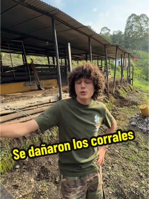 A post by @lagranjadelborrego on TikTok caption: El corral de la nada 📉 jajaja @Honda Motos Colombia  #publiciidad