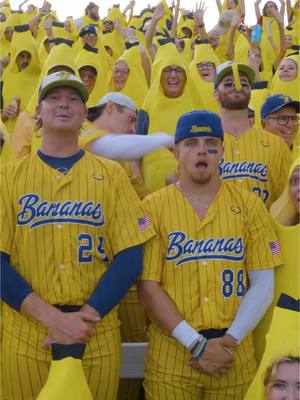 A post by @thesavbananas on TikTok caption: no caption needed for this one. #savannahbananas #minions #bananas #parody @Andy Archer @Niz @12_Gage26 @Kyle Perry 