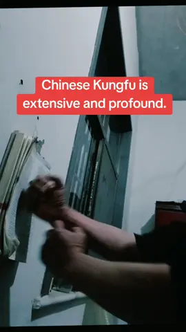 A post by @diaoyu97 on TikTok caption: #foryou #fyp #selfdefense #shaolinkungfu #kungfu #shaolin #shaolinkungfu #chinesekungfu #brucelee #jeetkunedo #wingchun #taijiquan #tiktok #outdoor 