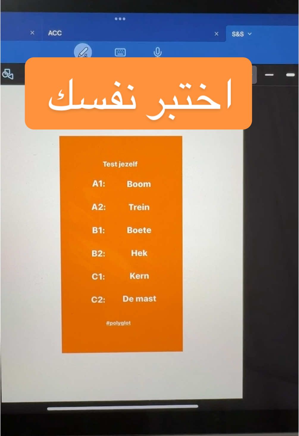 A post by @polyglot.er on TikTok caption: #creatorsearchinsights #cultures #countries #polyglot #thenetherlands #tiktok #viral #languages #fyp #dutch #nederlands #languagelearning #nederland #هولندا🇳🇱 #language #هولندا #foryourepage #cupcut #viral_video #trendy 