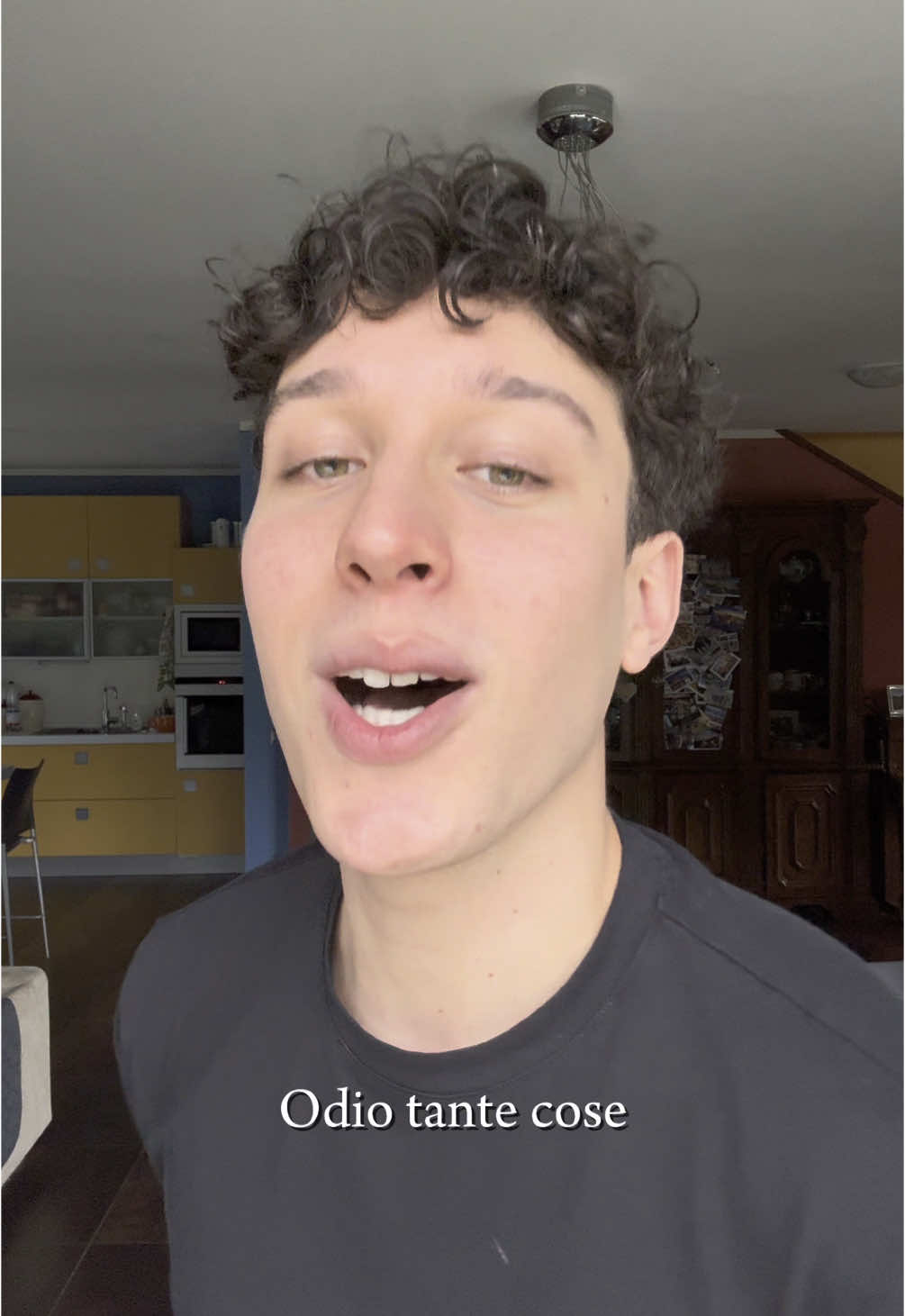 A post by @greg_fountaine on TikTok caption: Tizianone Nazionale🎶 #fyp #perte #parati #music 