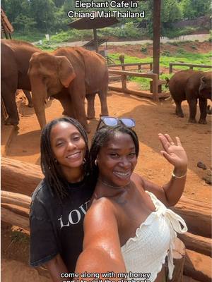 A post by @jaiandmira on TikTok caption: Elefin Farm & Cafe Chiang Mai Thailand 🐘💕 #thailand #livinginthailand #elephant #fyp 