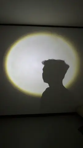 A post by @boomshadowace on TikTok caption: Turning hands into magic one shadow at a time! Who needs a stage when the spotlight follows your fingers? ✨🤚🏻 #shadowace #fyp #viral 