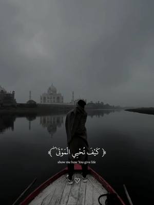 A post by @karim.mohamed30 on TikTok caption: أرح سمعك وقلبك 🤍🎧  #راحه_نفسيه #قران_كريم #عبدالرحمن_مسعد #قران #تصميم_karimmohmed30 