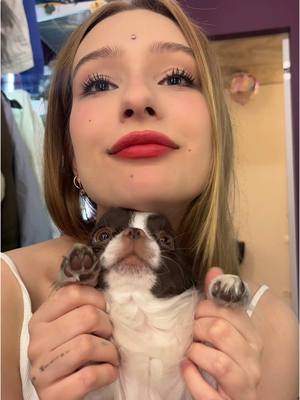 A post by @chetverkam on TikTok caption: тгк: четвёрка
