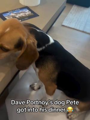 A post by @barstoolsports on TikTok caption: That’s Pete’s dinner now 😂 @Miss Peaches @Dave Portnoy 