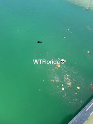 A post by @barstoolsports on TikTok caption: What is that 😭@Barstool Outdoors (Via:@Big Gibbs) 