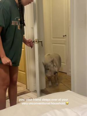 A post by @barstoolsports on TikTok caption: What kind of dog is that 😂@Barstool Outdoors (Via:@shiracohnn) 