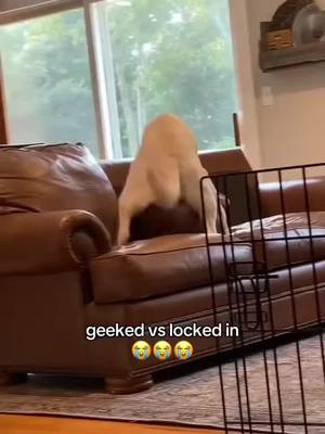A post by @barstoolsports on TikTok caption: Bro was dialed 😭 @I Can’t Even (via:@carly) 