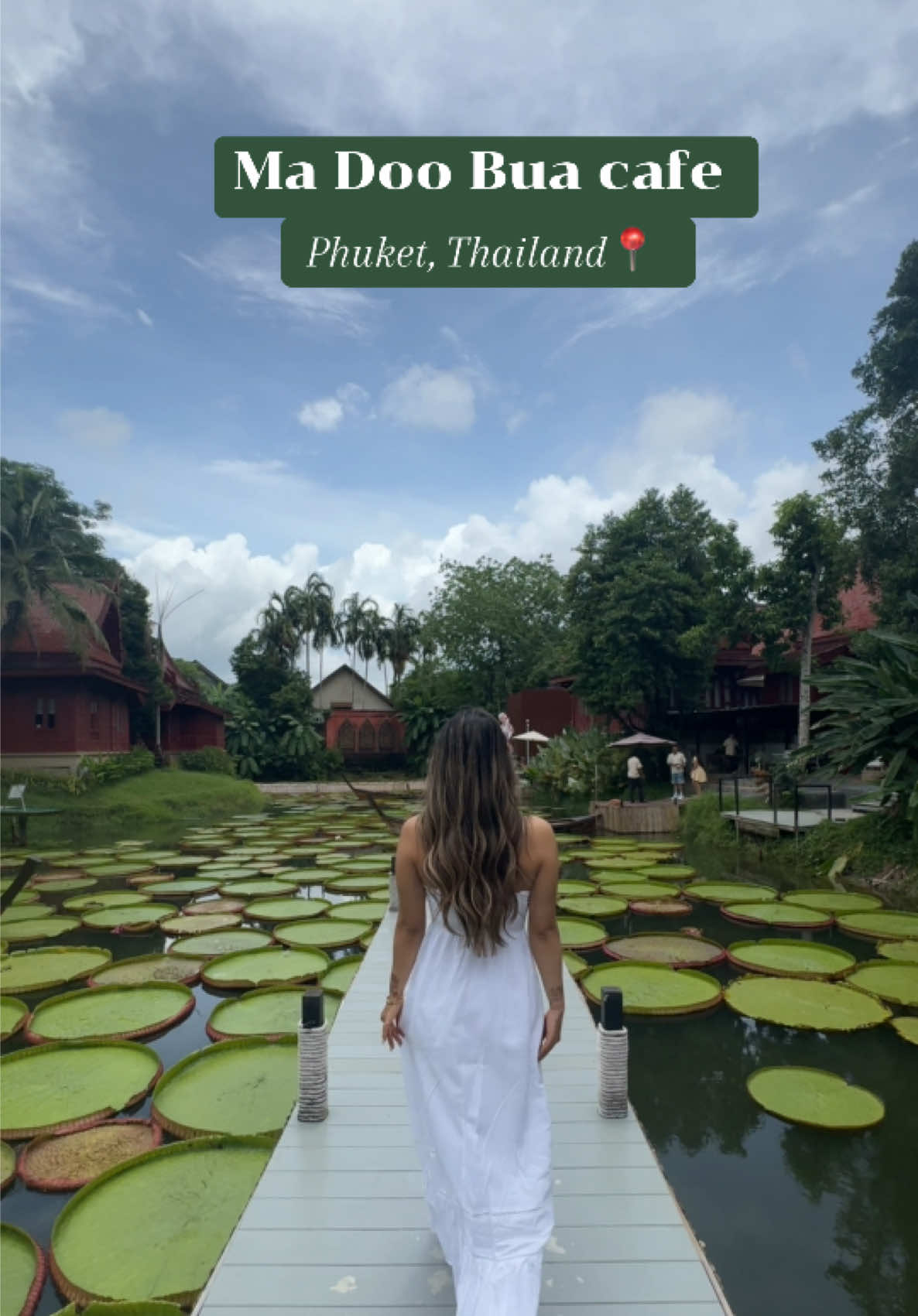 A post by @yoshna on TikTok caption: Must visit cafe in Phuket, Thailand 🇹🇭 #madoobuaphuket #travel #cafe #thailand #honeymoon #viral 