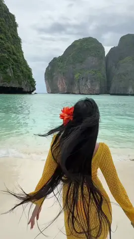 A post by @encabomj17 on TikTok caption: Maya bay 🌊🏝️🥥🐚