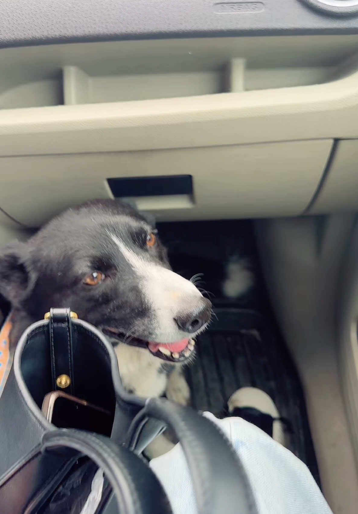 A post by @chotkaya18 on TikTok caption: #поездкавдеревню👍 