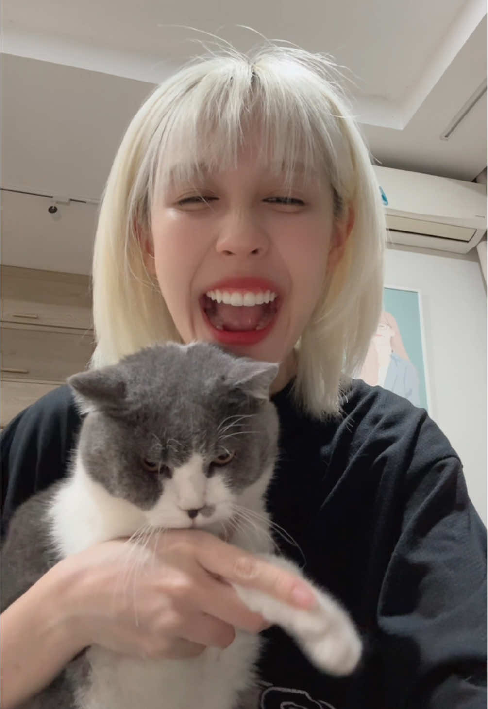 A post by @hauhoang on TikTok caption: Con mèo kêu làm sao?