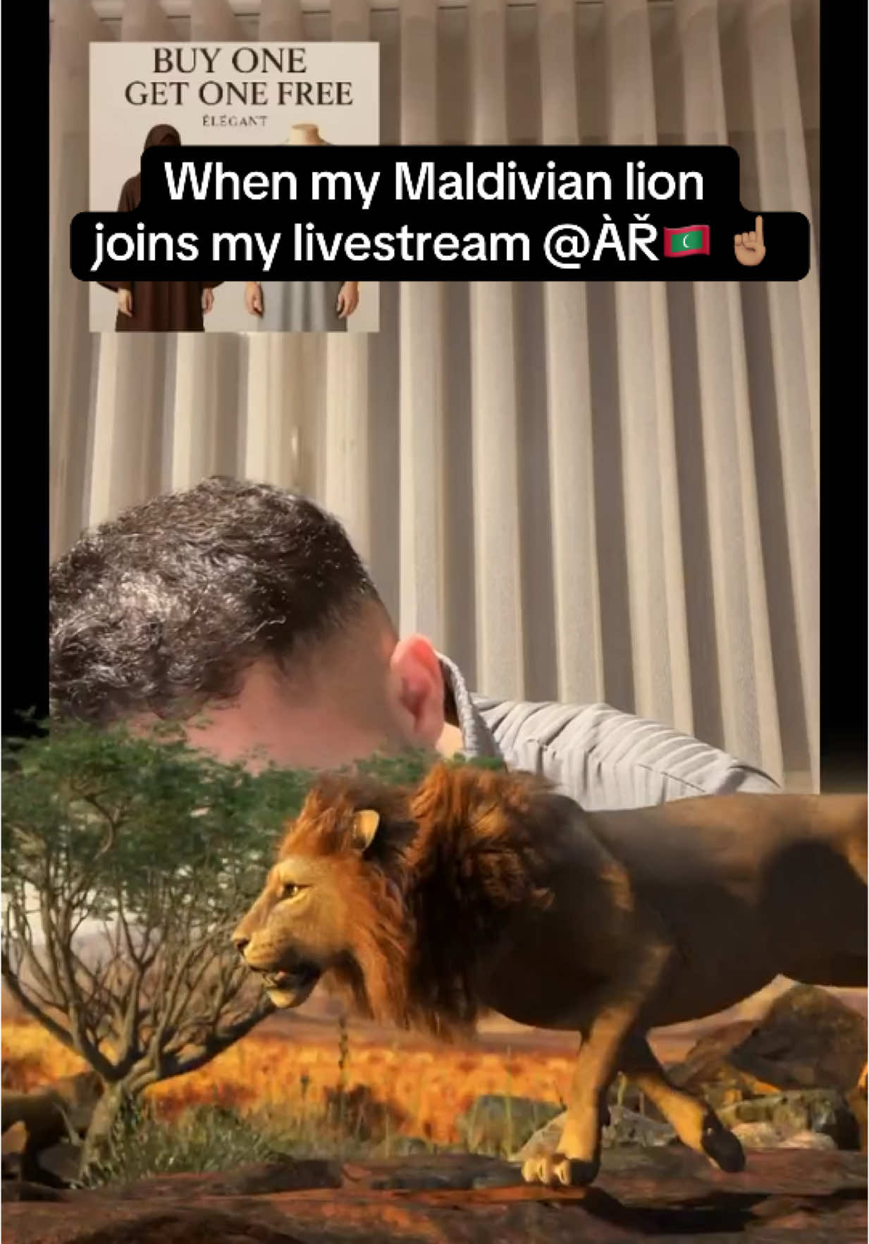 A post by @abdeentube on TikTok caption: When my Maldivian lion joins my livestream @ÀŘ 🇲🇻 #abdeen #quran #islam #share #tiktok #fyp #foryoupage #tiktok #explore #trending #viral #allah 