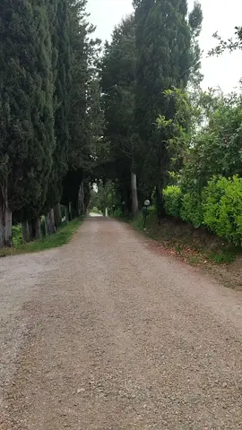 A post by @houssinebensaid40 on TikTok