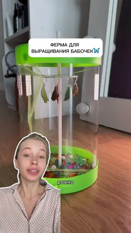 A post by @mirnaya_ru on TikTok caption: Арт в тг Mirnaya_ruu