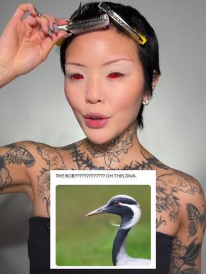 A post by @meicrosoft on TikTok caption: I love doing makeup based on memes lmao #avantgardemakeup #editorialmakeup #experimentalmakeup 
